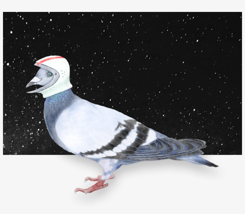 Space Helmet Png, transparent png #1459846