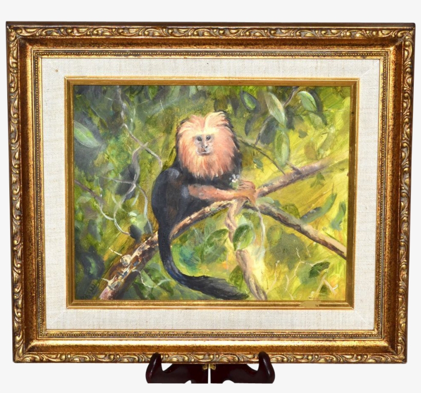 Tamarin Monkey Framed Painting - Picture Frame, transparent png #1459922