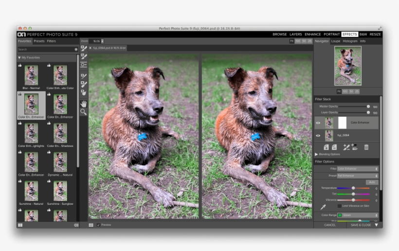My 10 Favorite Filters In Onone's Perfect Effects - Autumn, transparent png #1460078