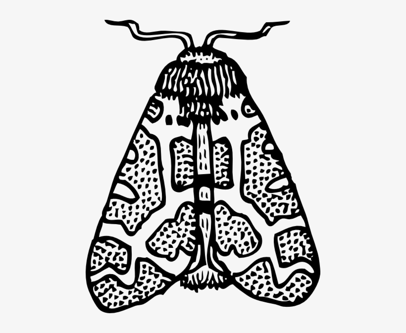 Moth Wings Closed Clip Art Free Vector - Moth Clipart Black And White, transparent png #1460787