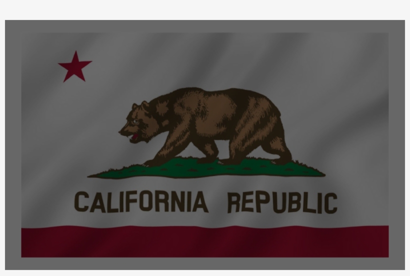 Foot California Republic Flag Ca Usa, transparent png #1462940
