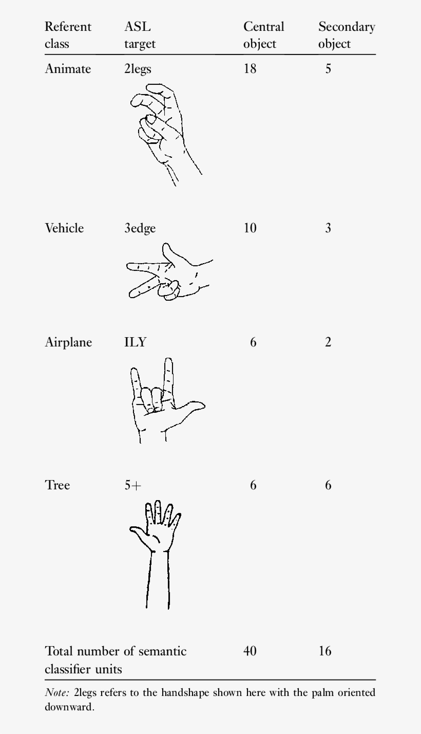 ''semantic'' Classifier Handshape Targets In Vmp Task - Classifier Handshape, transparent png #1463456