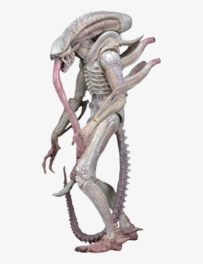 Albino Xenomorph - Alien Albino Neca, transparent png #1464547