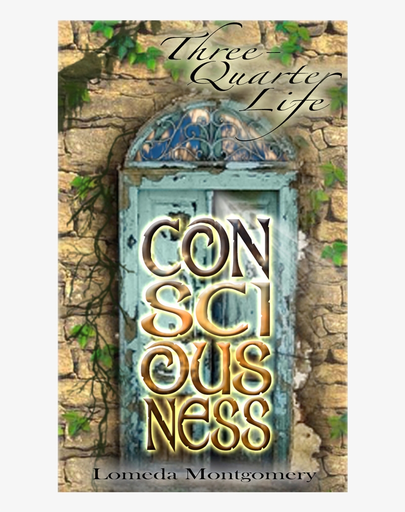 Three-quarter Life Consciousness Novel Tqlc Icon - Icon, transparent png #1466024