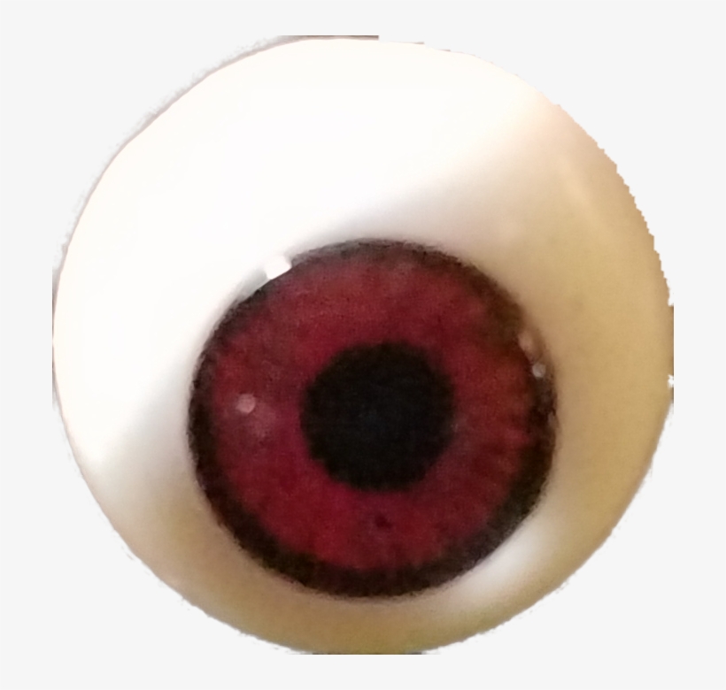 Isbee - - Close-up, transparent png #1466048