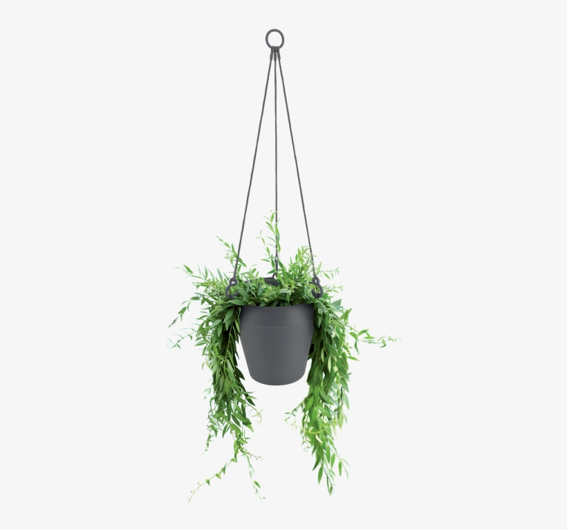 Home > Collection > Loft Urban Hanging Basket - Christmas Tree, transparent png #1467281