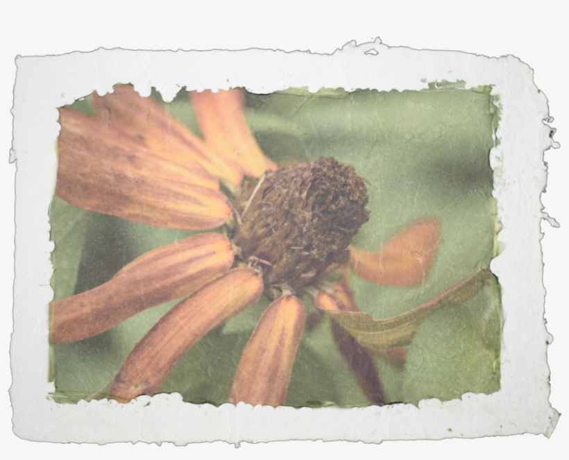 Hanging On, transparent png #1467341