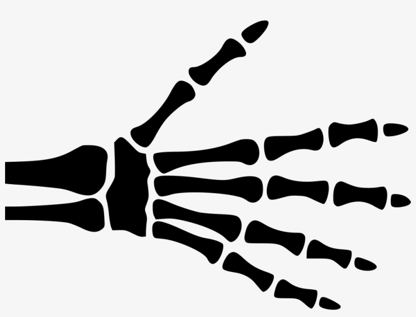Hand Skeleton - - Skeleton Hand Svg File, transparent png #1468133