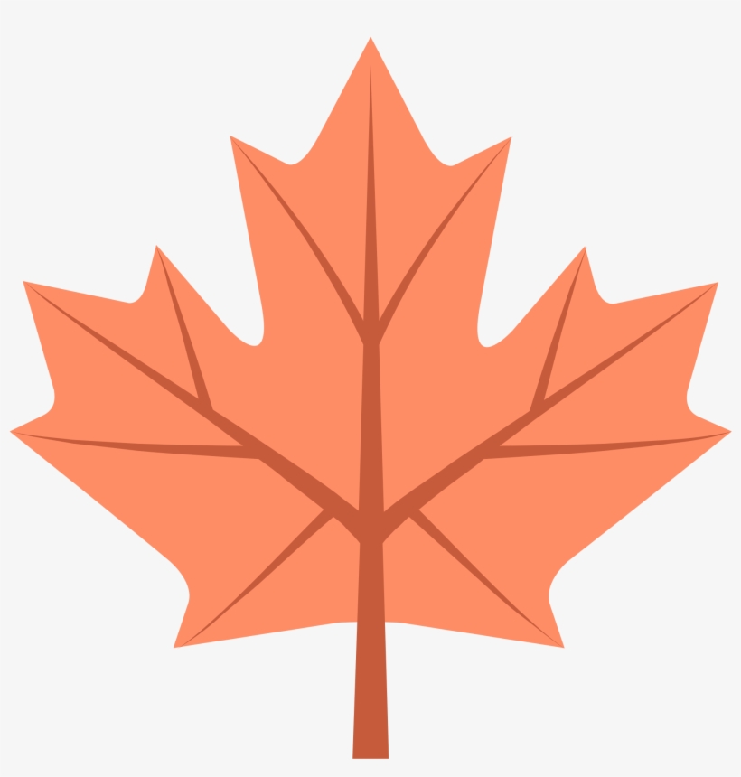 Open - Feuille Du Drapeau Canadien, transparent png #1468493