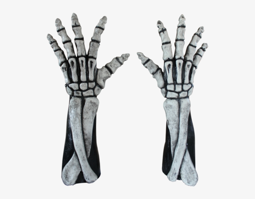 Skeleton Arms Reaper Style - Long Skeleton Hands White - Costume Accessories Halloween, transparent png #1468818