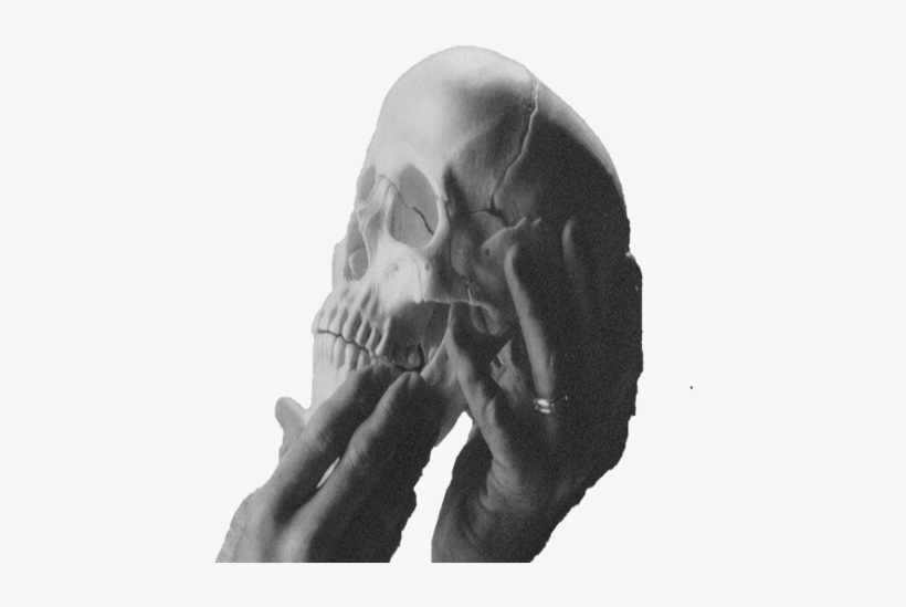 Skull And Hand - Skull, transparent png #1468843