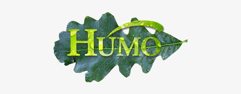 Logo, transparent png #1468926