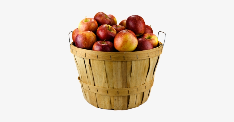 Family Owned Orchard & Bakery - Landluft Für Anfänger - 12, transparent png #1469184