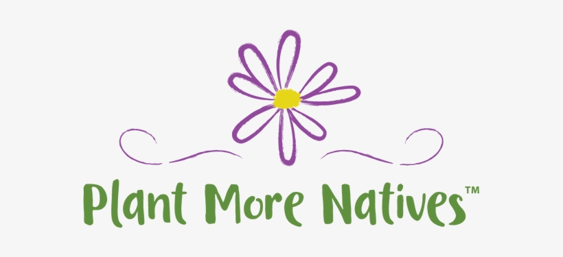 Plant More Natives - Ostrich Fern, transparent png #1469211