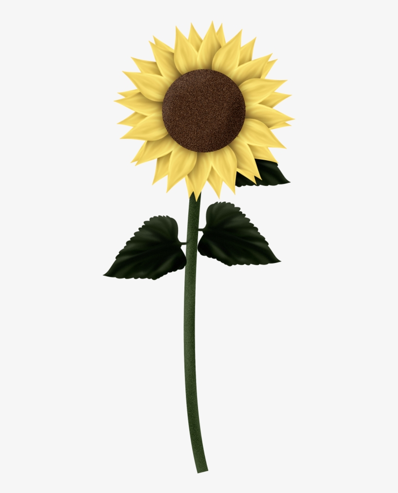Download Sunflowers Png Clipart - Tall Sunflower Transparent, transparent png #1469831