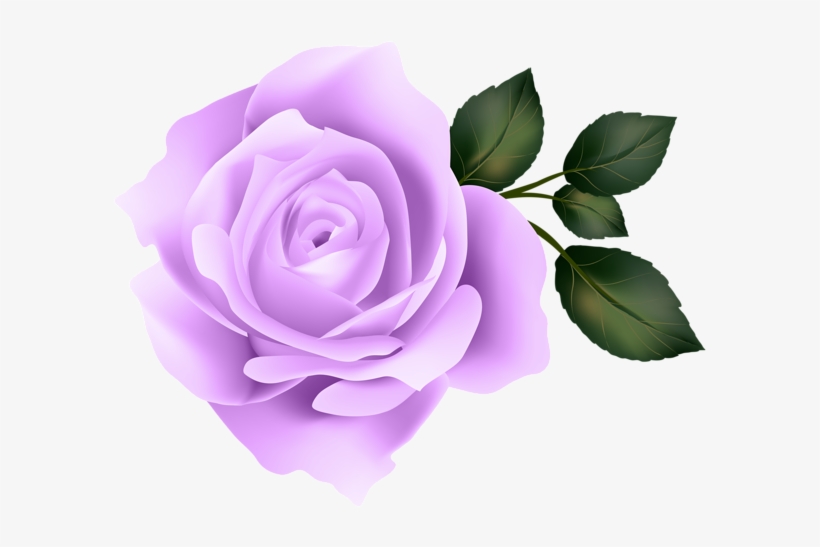 Rose Clip Art Image Gallery Yopriceville High - Yellow Rose Clipart Png, transparent png #1469886
