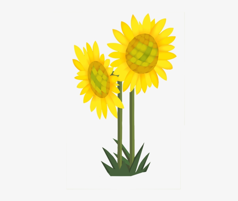 Sunflowers - Portable Network Graphics, transparent png #1469949
