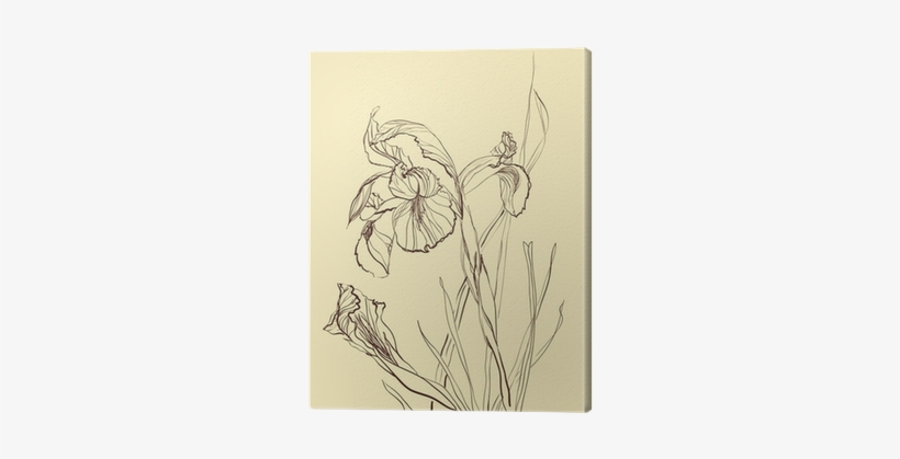 Collection Of Free Download On Ubisafe Brush - Flower, transparent png #1469980