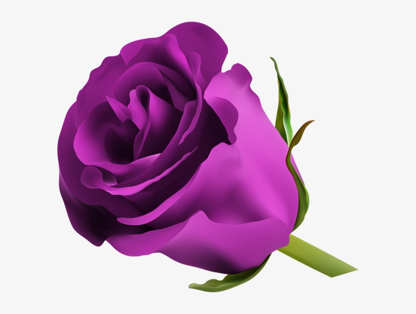 Pink Rose Png, Purple Roses, Make Pictures, Favorite - Purple Rose Png, transparent png #1470113