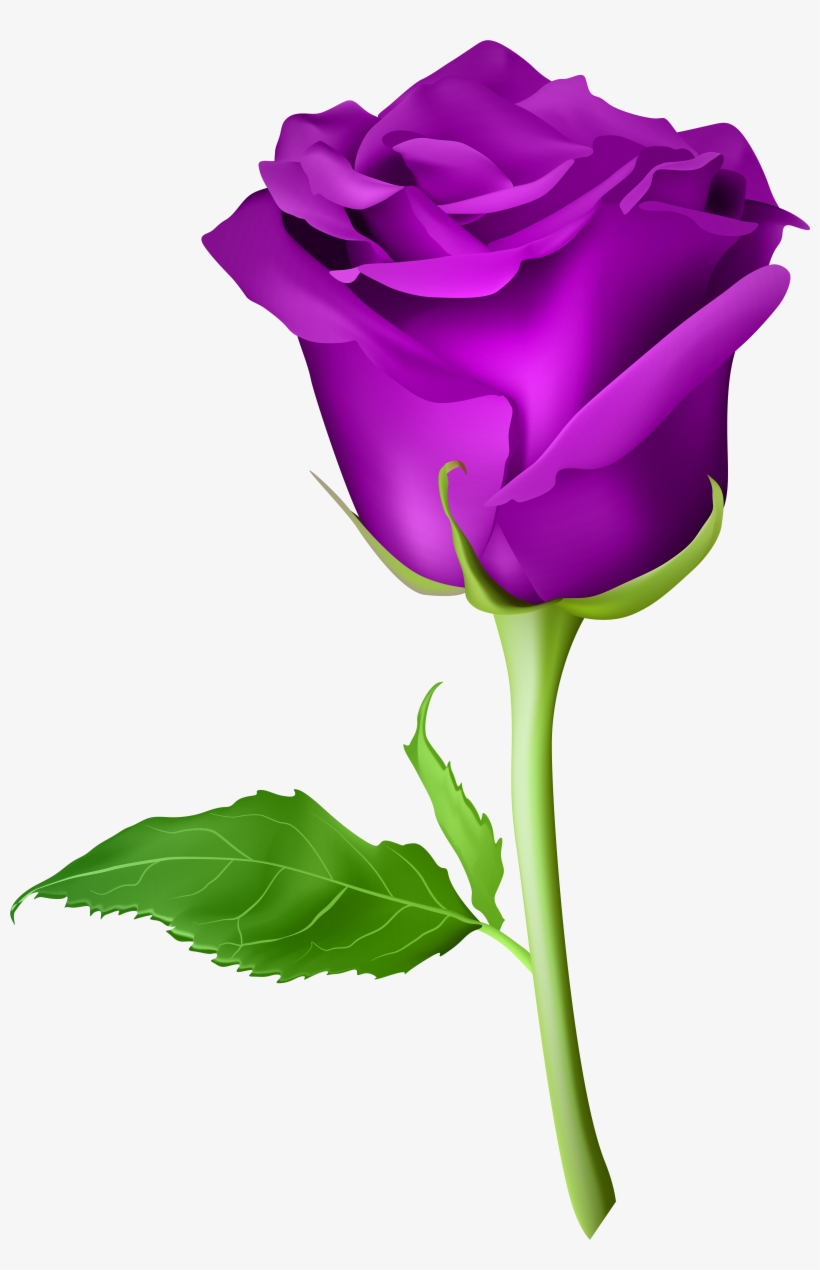 Purple Rose Clip Art, transparent png #1470118