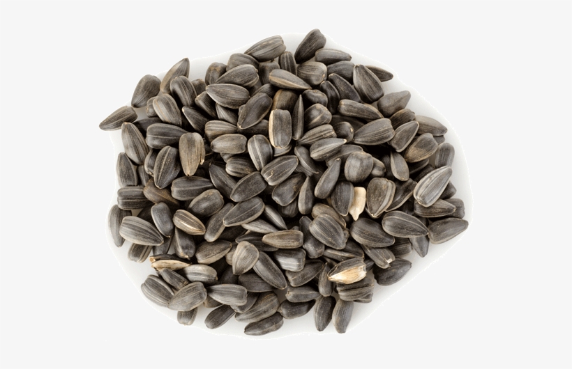 Sunflower Seeds Png Hd - Linwoods Organic Milled Sunflower & Pumpkin Mix, transparent png #1470145
