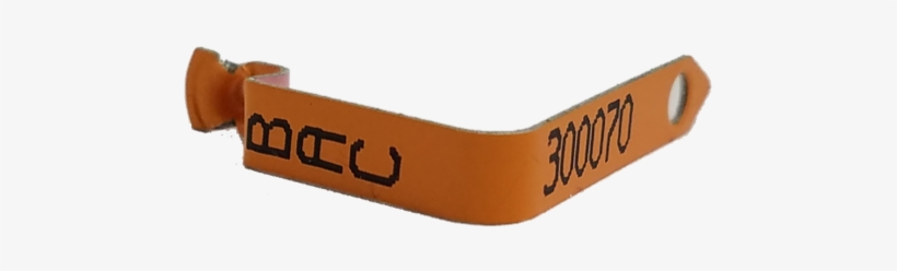 Wing Band 1 - Wing Band In Chicks, transparent png #1470628