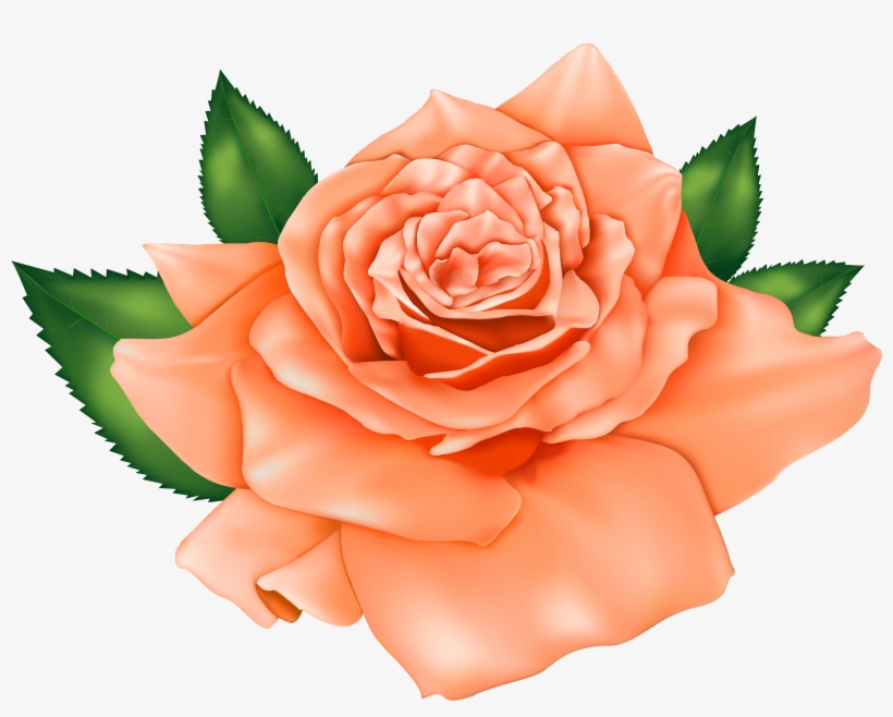 Orange And Purple Flower Clipart - Flores Color Durazno Png, transparent png #1470766