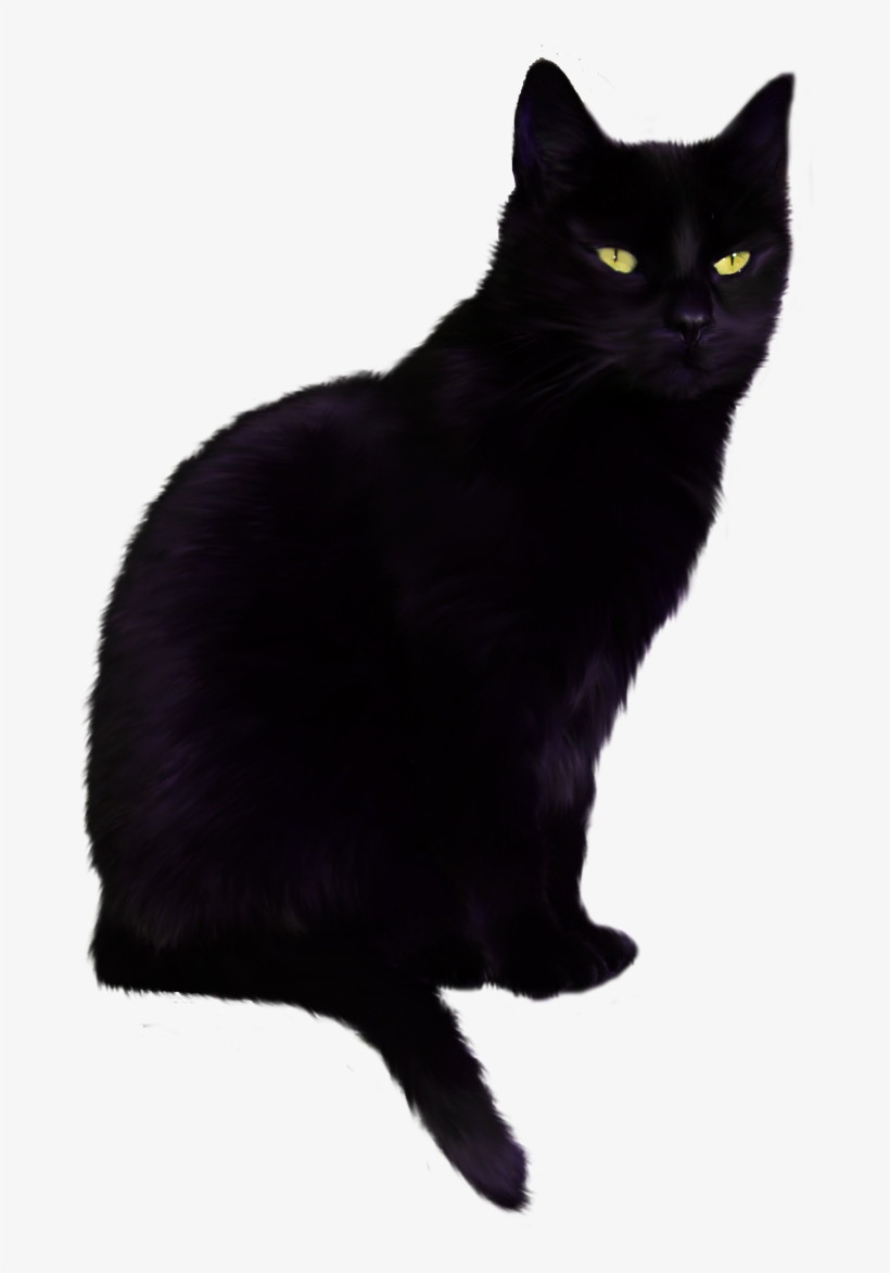 Bombay Cat Png, transparent png #1470830