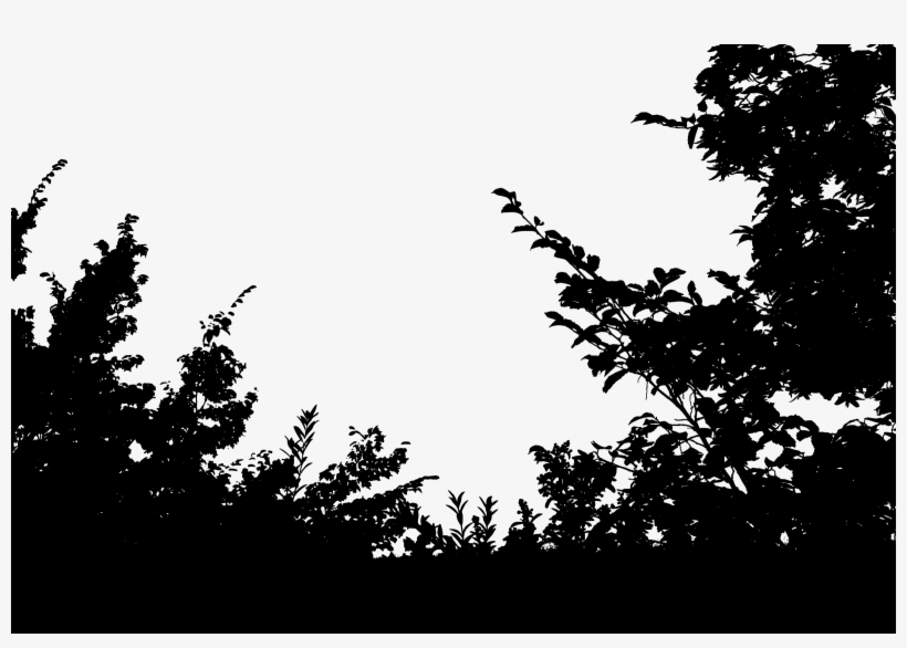 Vegetation Silhouette, transparent png #1471400