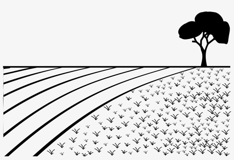 Silhouette Of Field - Photography, transparent png #1471713