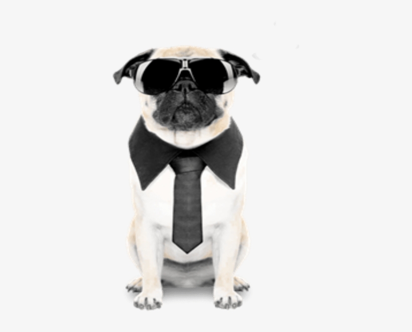 Funny Happy Birthday Father, transparent png #1471893