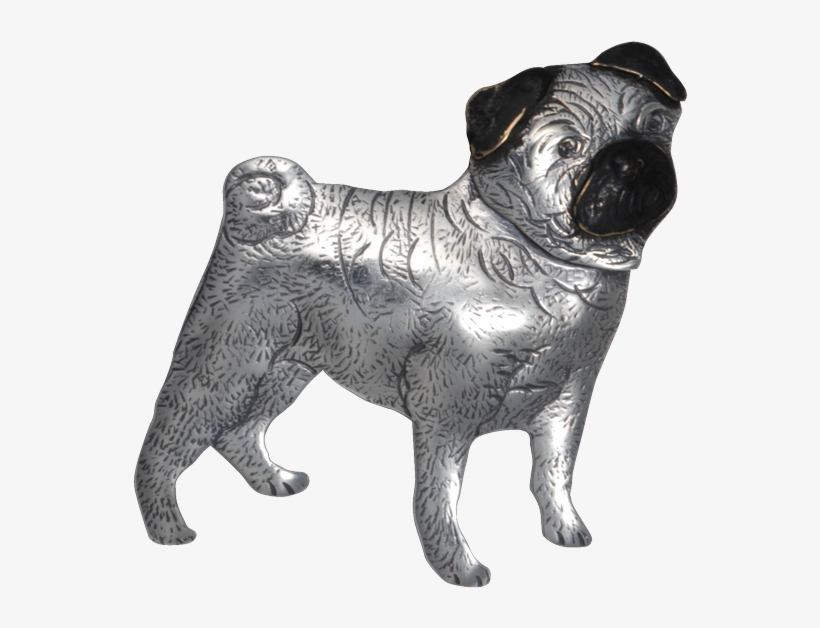 Pug, transparent png #1472117