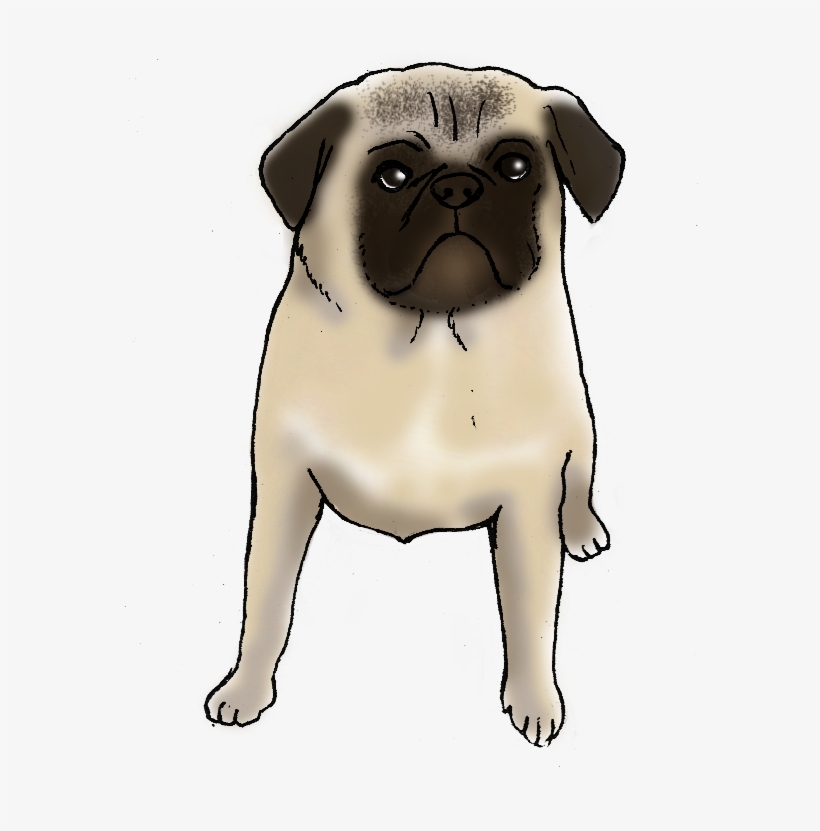 Charlie The Pug Is A Good Dog - Pug, transparent png #1472164