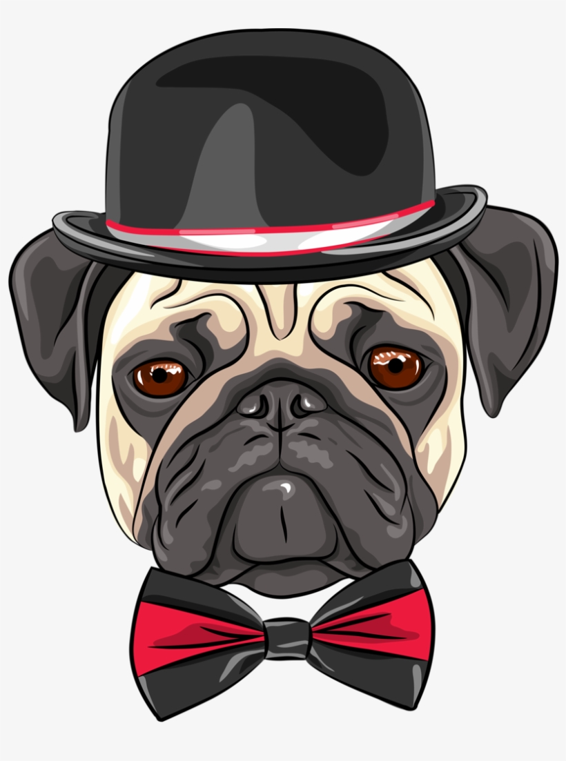 Cães & Gatos - Youtube Profile Picture Pug, transparent png #1472594