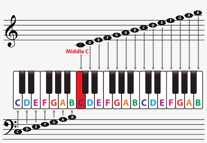 Continue To Sharps And Flats Steps And Accidentals - Middle C On A Keyboard Staff, transparent png #1474588