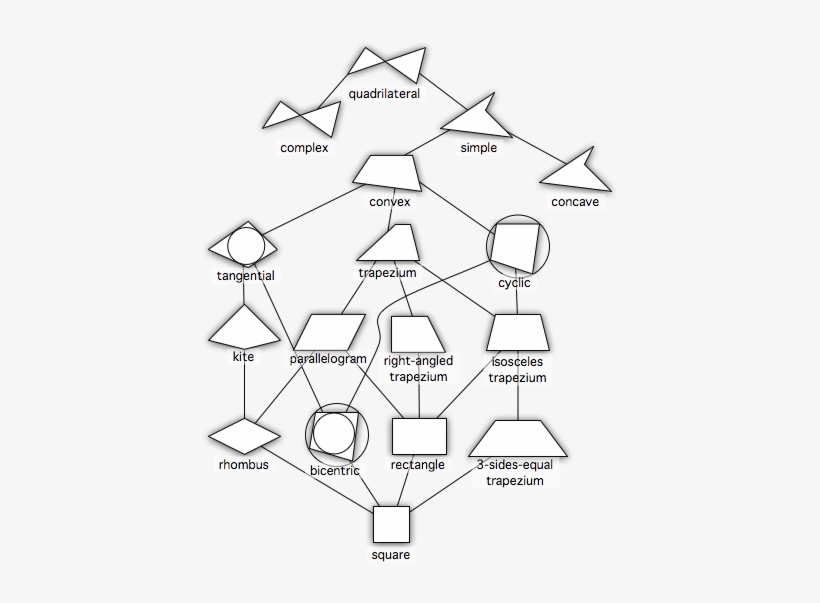Http - //image - Absoluteastronomy - Hierarchy - Png - Quadrilateral Hierarchy, transparent png #1475166