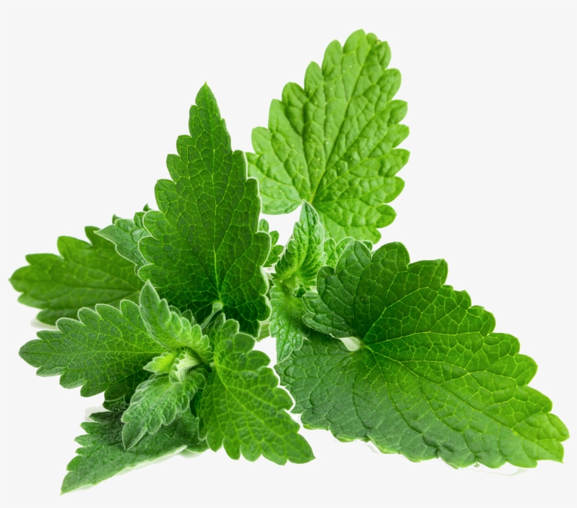 Go To Image - Casserole Dish With Lid - 24 Cm, transparent png #1476018