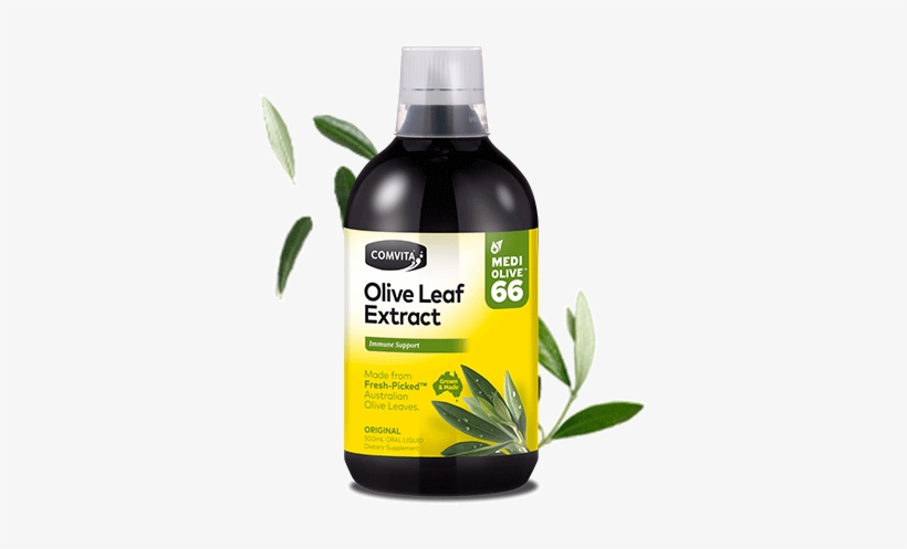 Shop Original Flavour 500ml - Comvita Olive Leaf Extract 500ml Peppermint Clearance, transparent png #1476106