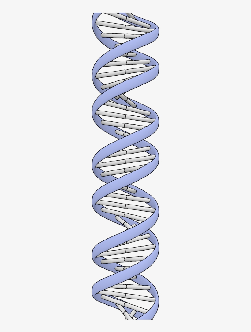 Png - Marine Architecture, transparent png #1476380
