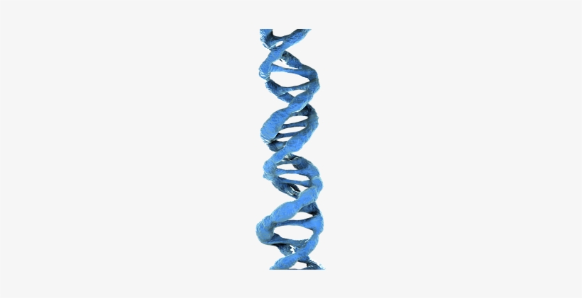 Dna 3d Dna Blue Dna Dna Dna Dna Dna Dna - Fountain Of Youth Salk Pills, transparent png #1476424
