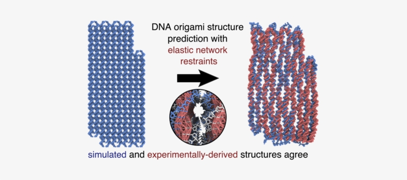Dna Origami Is A Cost-effective Method Of Controlling - Dna Origami Cryo Em, transparent png #1476560