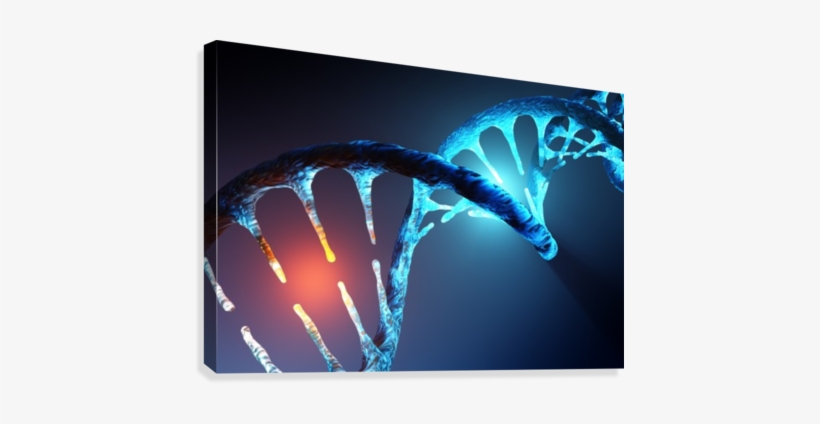 Dna Strand Modification Canvas Print - Dna Strand, transparent png #1476584