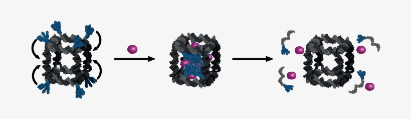 Nanostructures Made Of Dna Strands Can Encapsulate, - Nanostructure And Drug Delivery, transparent png #1476629