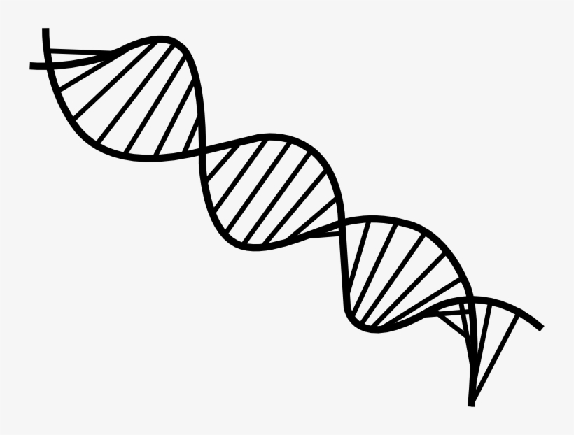 Dna Drawing Png - Black And White Dna Png, transparent png #1476651