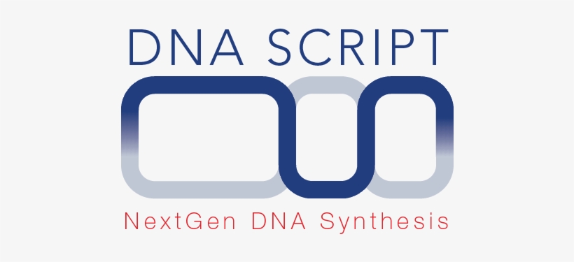 Dna Script Announces World's First Enzymatic Synthesis - Addiction Recovery Now, transparent png #1476839