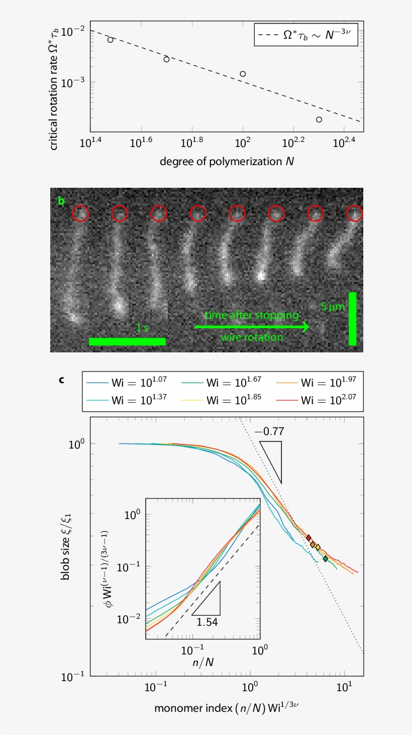 Spooling Tethered Dna Strands - Diagram, transparent png #1476910