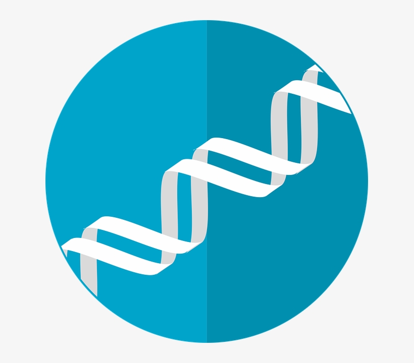 Dna Icon,gene,helix,double - Dna Icon, transparent png #1476930