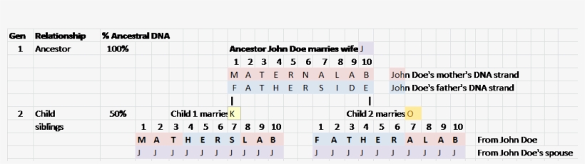 Concept Ancestor Inheritance Child - Child, transparent png #1476951