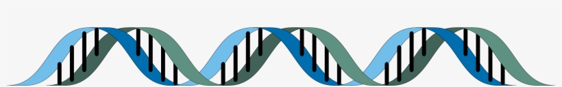 Sporting As Many As 10 Million Variants Across A Typical - Genome Png, transparent png #1477052