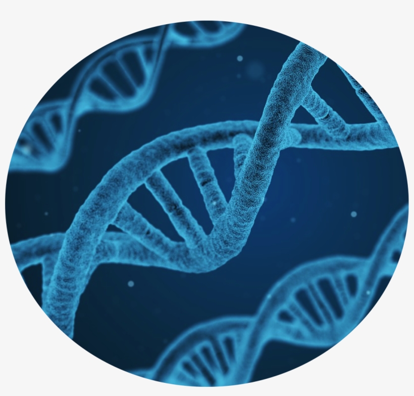 Biology Journal, transparent png #1477067